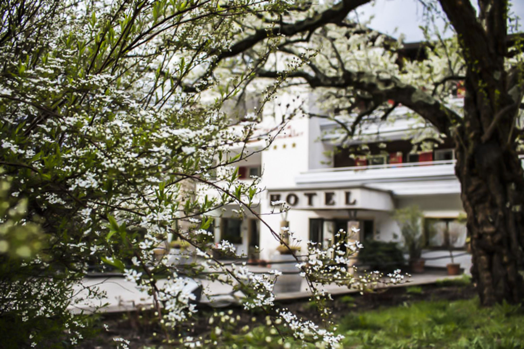 Prinz Rudolf Smart Hotel Merano Eksteriør billede